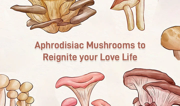 Aphrodisiac-Mushrooms-to-Reignite-your-Love-Life_720x