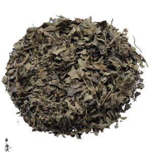 Salvia Divinorum Extracts